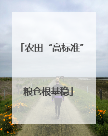 农田“高标准” 粮仓根基稳