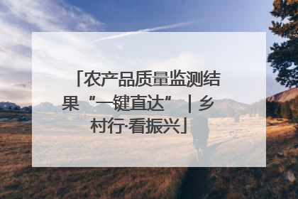 农产品质量监测结果“一键直达”｜乡村行·看振兴