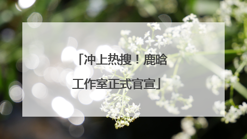 冲上热搜！鹿晗工作室正式官宣