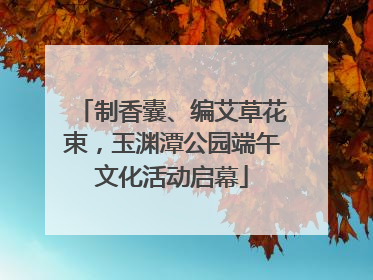 制香囊、编艾草花束，玉渊潭公园端午文化活动启幕