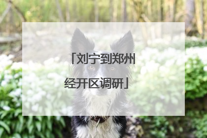 刘宁到郑州经开区调研
