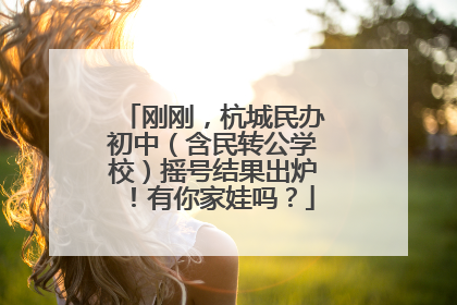 刚刚，杭城民办初中（含民转公学校）摇号结果出炉！有你家娃吗？
