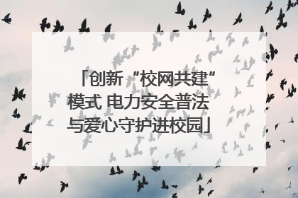 创新“校网共建”模式 电力安全普法与爱心守护进校园