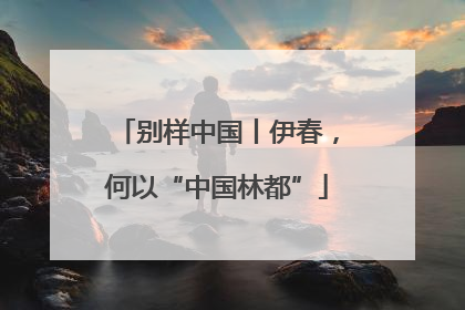 别样中国丨伊春，何以“中国林都”