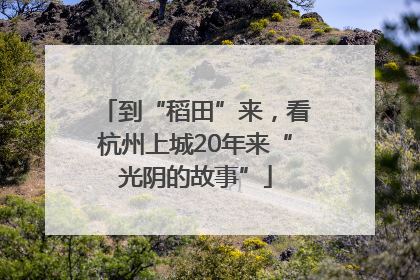 到“稻田”来，看杭州上城20年来“光阴的故事”