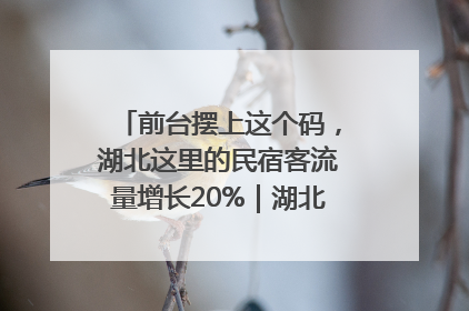 前台摆上这个码，湖北这里的民宿客流量增长20%｜湖北市场监管所的故事