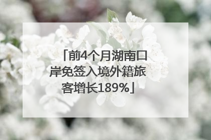 前4个月湖南口岸免签入境外籍旅客增长189%