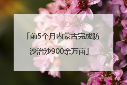 前5个月内蒙古完成防沙治沙900余万亩