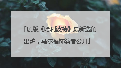 剧版《哈利波特》最新选角出炉，马尔福饰演者公开