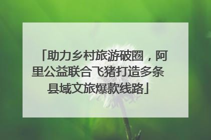 助力乡村旅游破圈，阿里公益联合飞猪打造多条县域文旅爆款线路