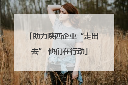 助力陕西企业“走出去” 他们在行动