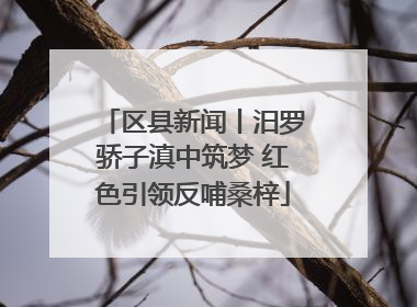 区县新闻丨汨罗骄子滇中筑梦 红色引领反哺桑梓