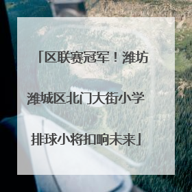 区联赛冠军！潍坊潍城区北门大街小学排球小将扣响未来