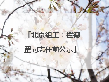 北京组工：翟德罡同志任前公示