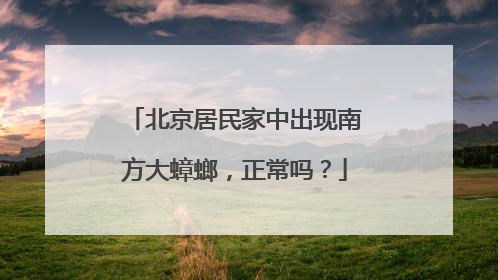 北京居民家中出现南方大蟑螂，正常吗？