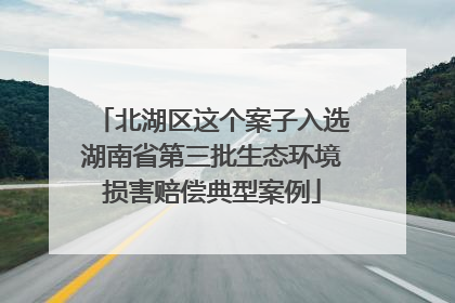 北湖区这个案子入选湖南省第三批生态环境损害赔偿典型案例