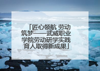 匠心领航 劳动筑梦——武威职业学院劳动研学实践育人取得新成果