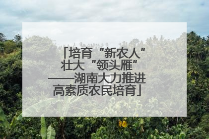 培育“新农人” 壮大“领头雁”——湖南大力推进高素质农民培育