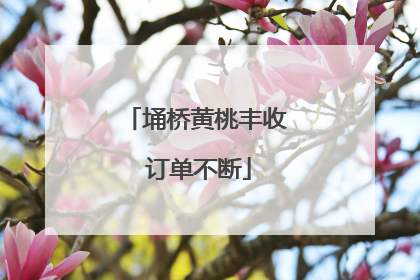 埇桥黄桃丰收 订单不断