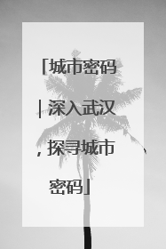 城市密码｜深入武汉，探寻城市密码