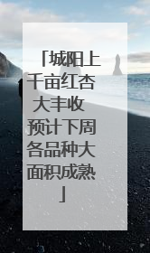 城阳上千亩红杏大丰收 预计下周各品种大面积成熟
