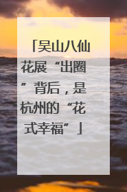 吴山八仙花展“出圈”背后，是杭州的“花式幸福”