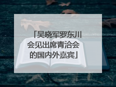 吴晓军罗东川会见出席青洽会的国内外嘉宾