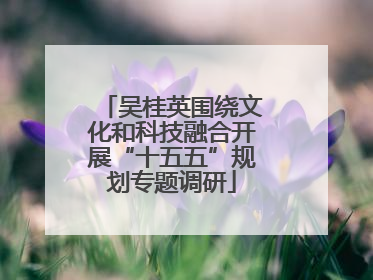 吴桂英围绕文化和科技融合开展“十五五”规划专题调研