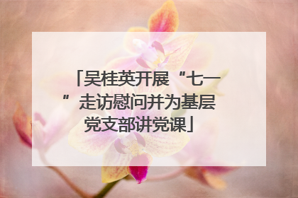 吴桂英开展“七一”走访慰问并为基层党支部讲党课