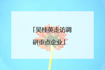 吴桂英走访调研重点企业