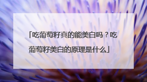 吃葡萄籽真的能美白吗？吃葡萄籽美白的原理是什么