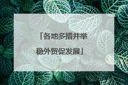 各地多措并举稳外贸促发展