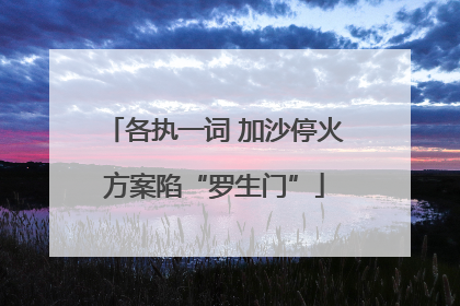 各执一词 加沙停火方案陷“罗生门”