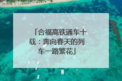 合福高铁通车十载：奔向春天的列车一路繁花