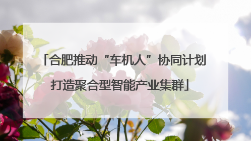 合肥推动“车机人”协同计划 打造聚合型智能产业集群