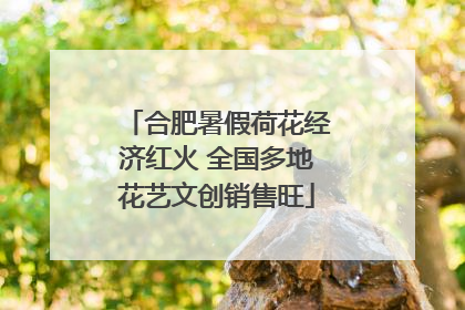 合肥暑假荷花经济红火 全国多地花艺文创销售旺