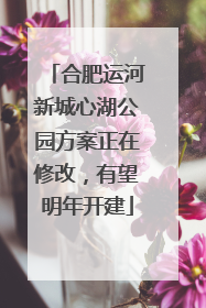 合肥运河新城心湖公园方案正在修改，有望明年开建