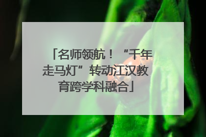 名师领航！“千年走马灯”转动江汉教育跨学科融合