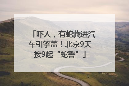吓人，有蛇藏进汽车引擎盖！北京9天接9起“蛇警”