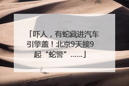 吓人，有蛇藏进汽车引擎盖！北京9天接9起“蛇警”……