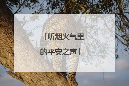 听烟火气里的平安之声