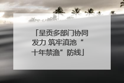 呈贡多部门协同发力 筑牢滇池“十年禁渔”防线