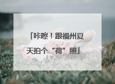 咔嚓！跟福州夏天拍个“荷”照