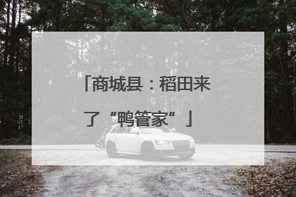 商城县：稻田来了“鸭管家”