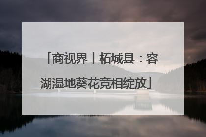 商视界丨柘城县：容湖湿地葵花竞相绽放