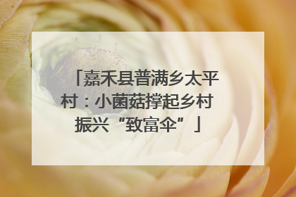 嘉禾县普满乡太平村：小菌菇撑起乡村振兴“致富伞”
