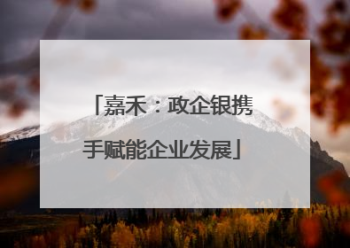嘉禾：政企银携手赋能企业发展