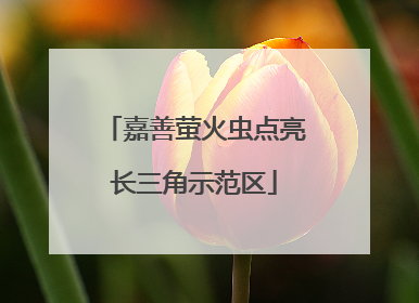 嘉善萤火虫点亮长三角示范区