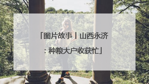 图片故事丨山西永济：种粮大户收获忙