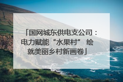 国网城东供电支公司：电力赋能“水果村” 绘就美丽乡村新画卷